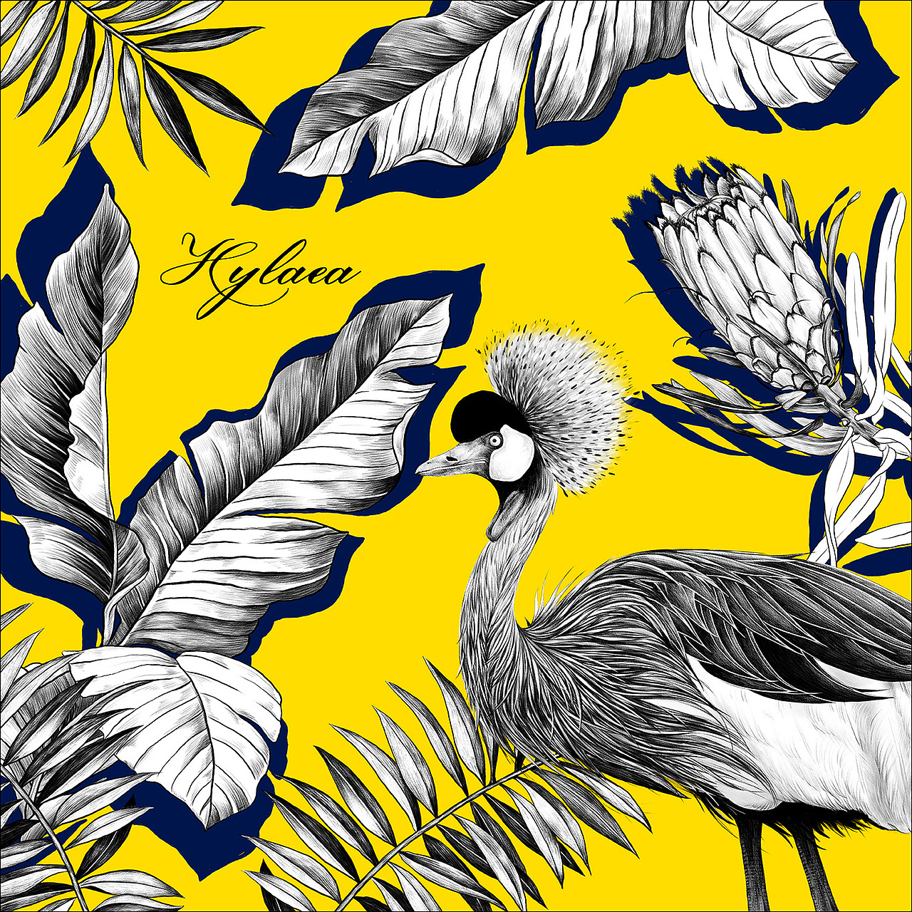 热带雨林(一)|插画|商业插画|稀饭下寒菜_原创作品-站酷zcool