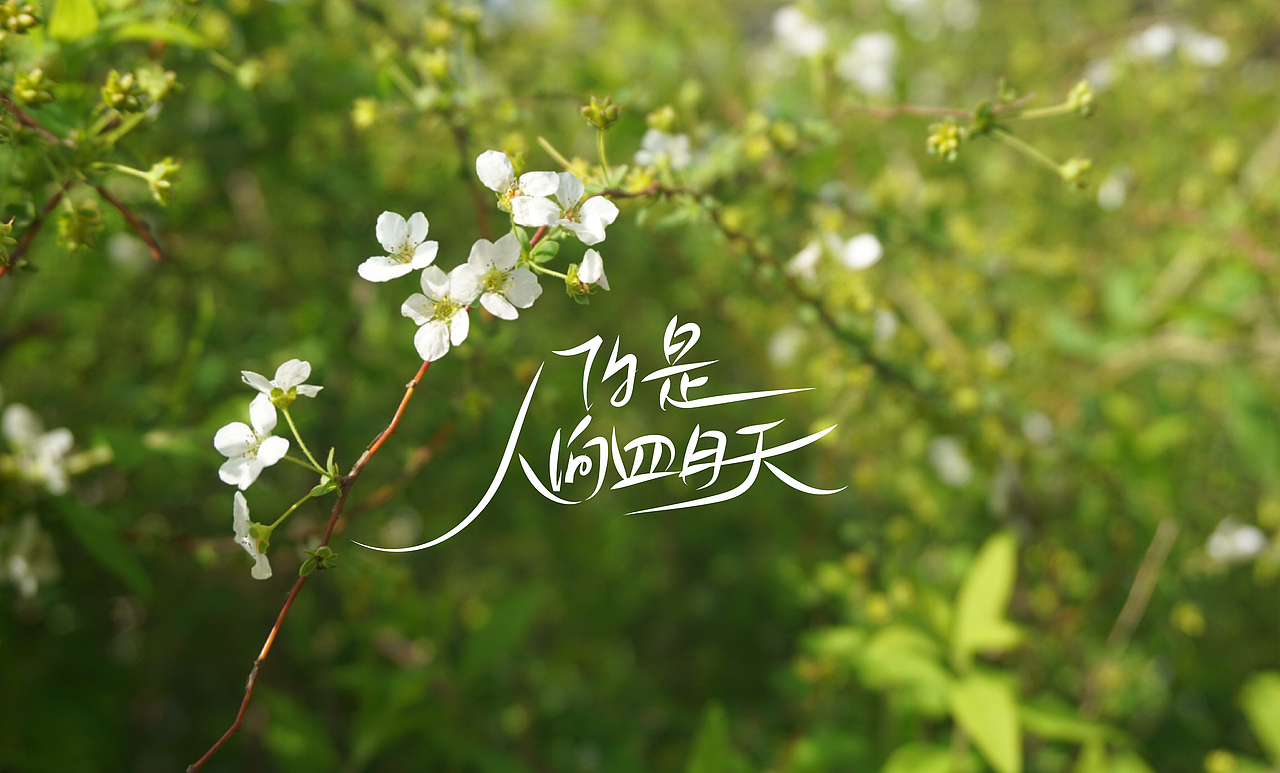 手写字体练习（图ZMjQ5MjQ1NDky） - 字体/字形 - 站酷设计师chumei13原创素材 - 站酷ZCOOL