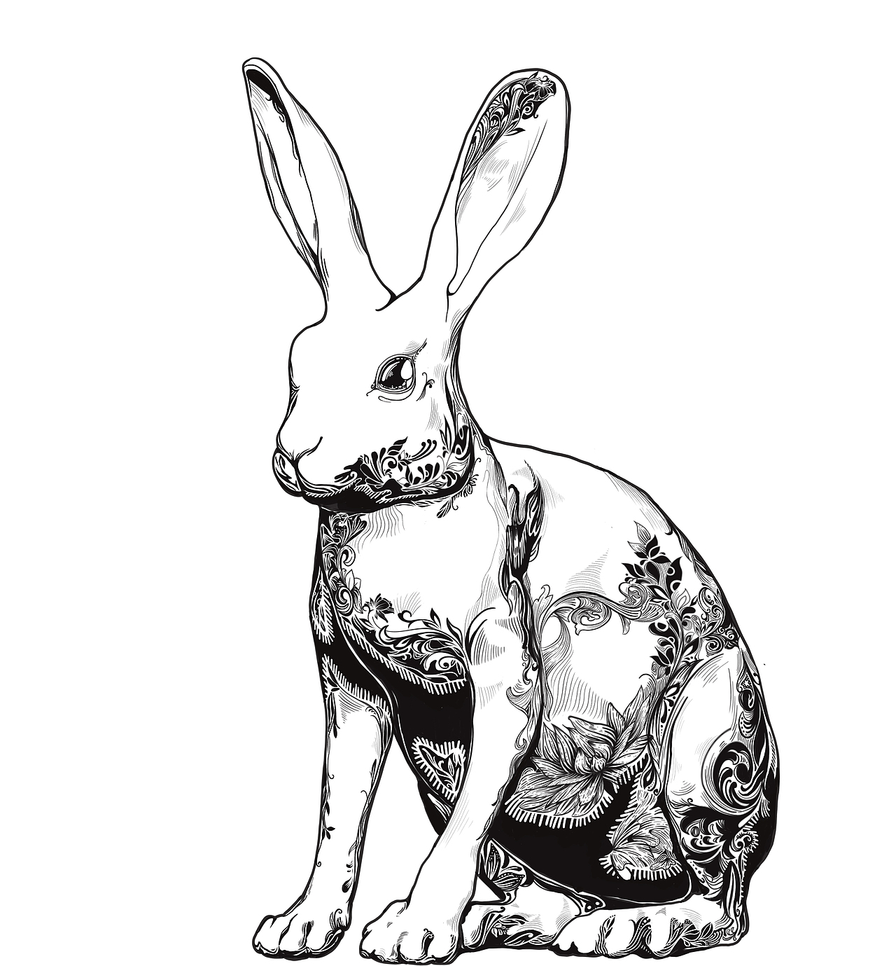 包装插画（图ZMzE3ODcyNTky） - 商业插画 - 站酷设计师0太阳对我笑0原创素材 - 站酷ZCOOL