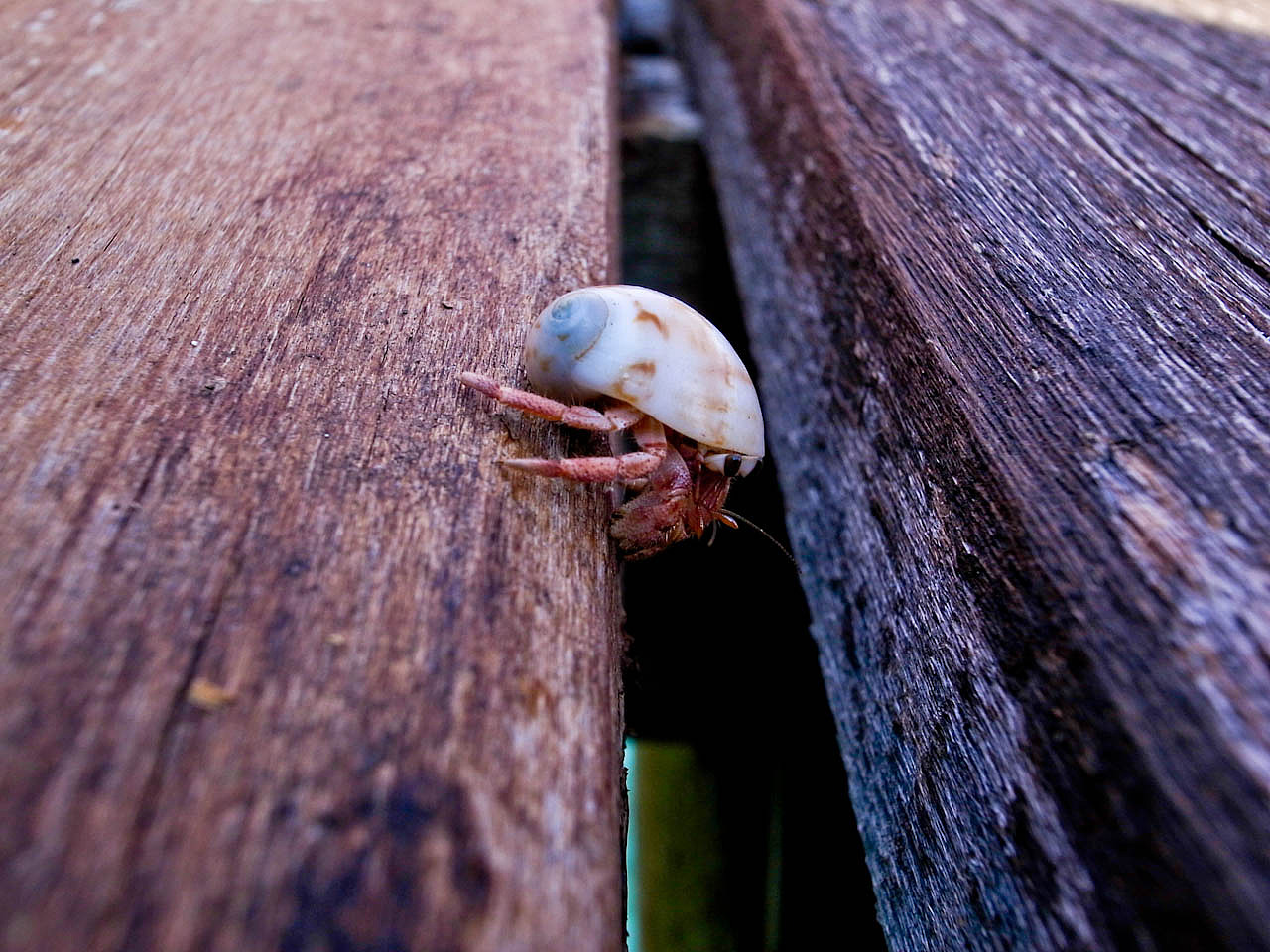 马尔代夫游记 - 梦幻岛 - 四晚六天（图ZNTM5NzkxNg==） - 风光摄影 - 站酷设计师blue_hermit原创素材 - 站酷ZCOOL