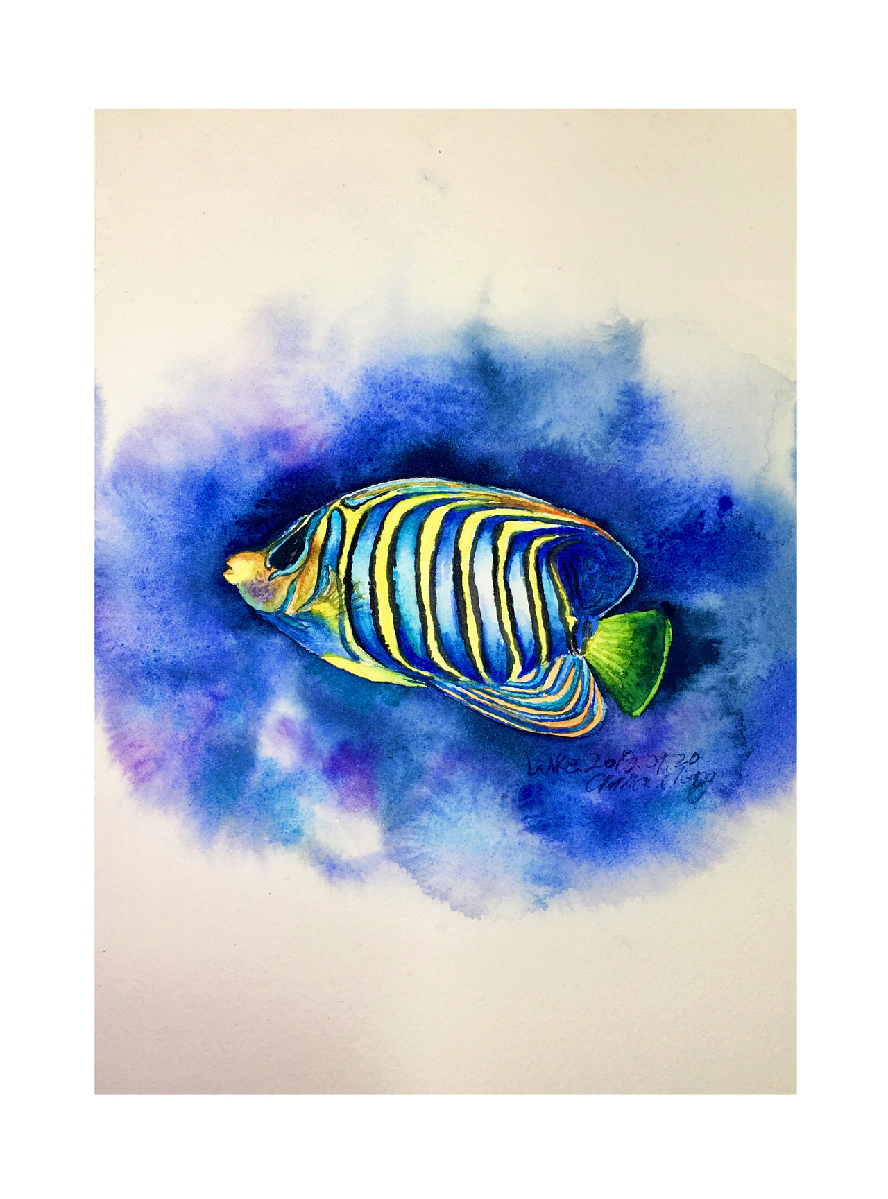 热带鱼|纯艺术|绘画|路加水彩 - 原创作品 - 站酷 (zcool)