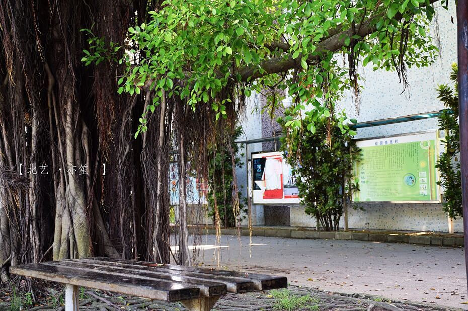 光和影（图ZMzI3NjY3MTY=） - 风光摄影 - 站酷设计师亦笙olol原创素材 - 站酷ZCOOL