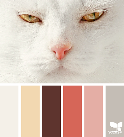 美丽的配色卡啊——04