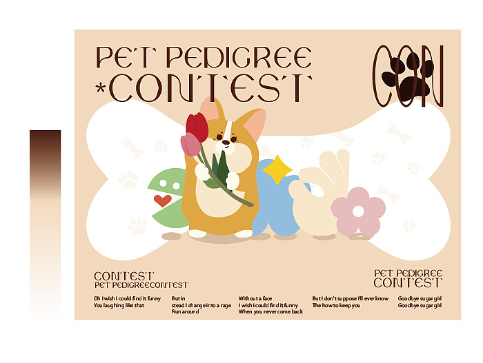 xtudio PET 宠物品牌设计