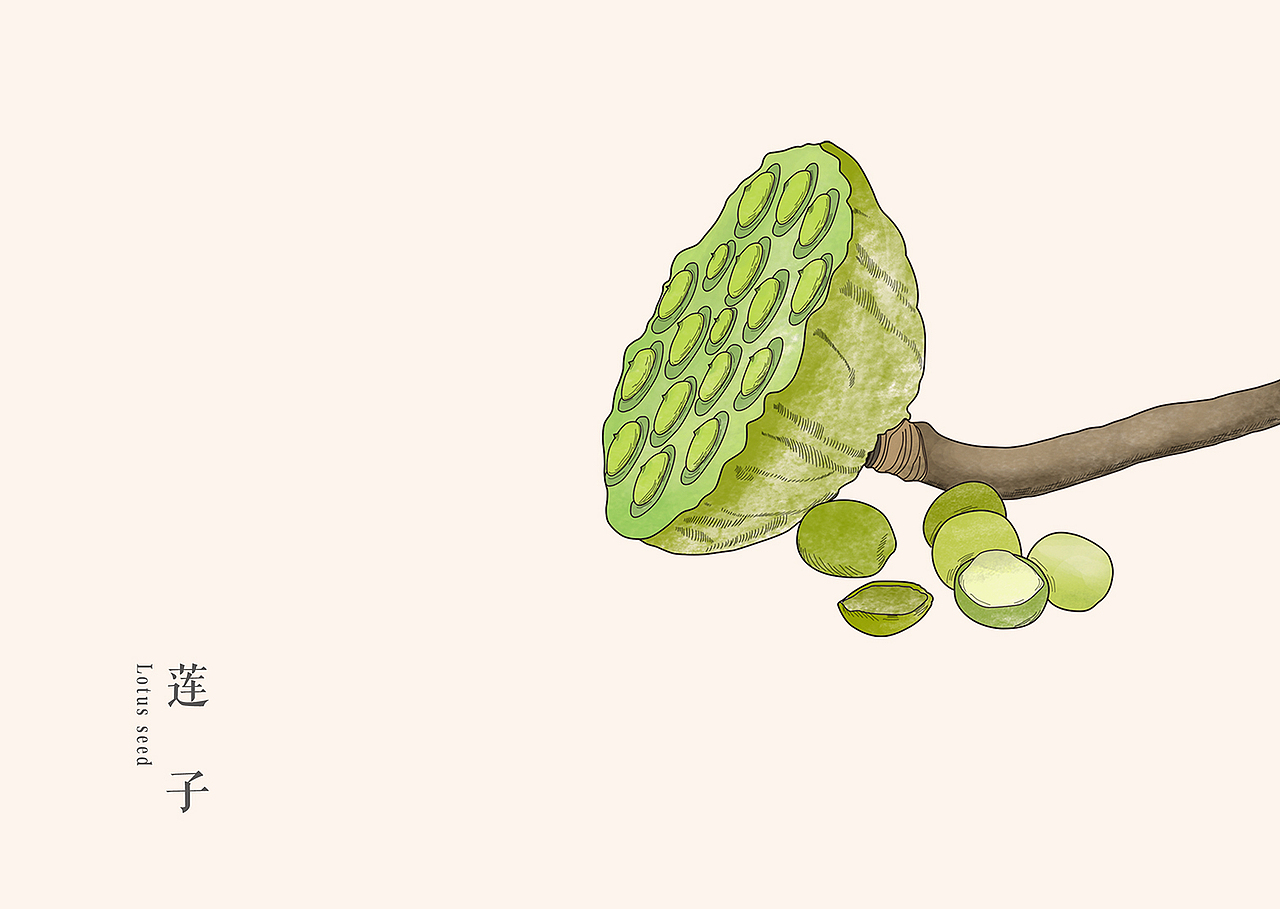 凡膳皆药，寓医于食（图ZMTE1MDkzMTU2） - 包装 - 站酷设计师李华清_设计原创素材 - 站酷ZCOOL