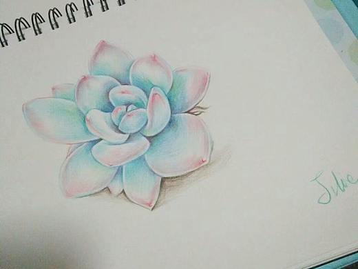 某天，送给某人的多肉~（个人主页-ZMjQxNzY0MDg=） - 像素画 - 站酷设计师Julieleelee原创素材 - 站酷ZCOOL