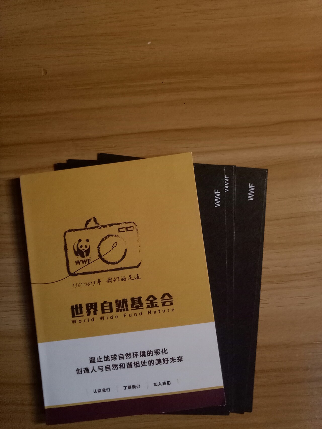 WWF公益宣传折页（图ZMTk0NzcwNDgw） - 宣传物料 - 站酷设计师是一米粒呀原创素材 - 站酷ZCOOL