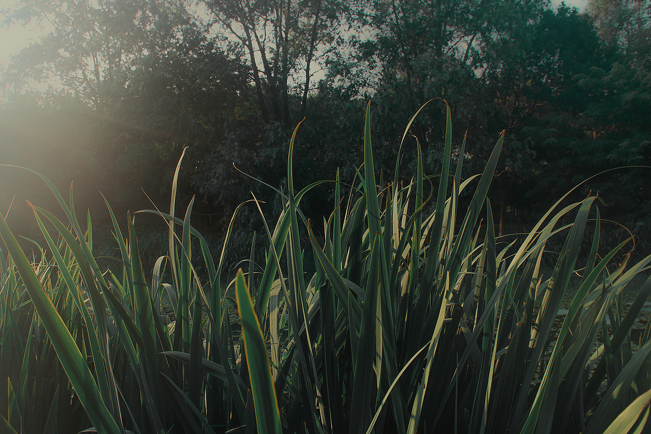 柒月昭昭，听风拂耳（图ZMTY3ODUwNDY0） - 人像摄影 - 站酷设计师橙子CHENGZI原创素材 - 站酷ZCOOL