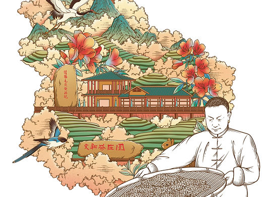 茶庄园 茶山云海 人物制茶插画手绘