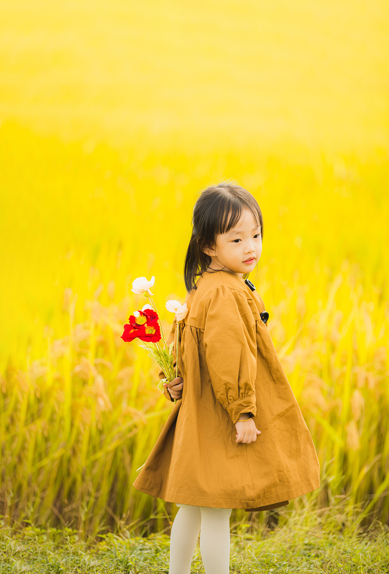 你有一份秋日来信请签收（图ZMjc0OTY2NzM2） - 人文/纪实摄影 - 站酷设计师九堡刘德华原创素材 - 站酷ZCOOL