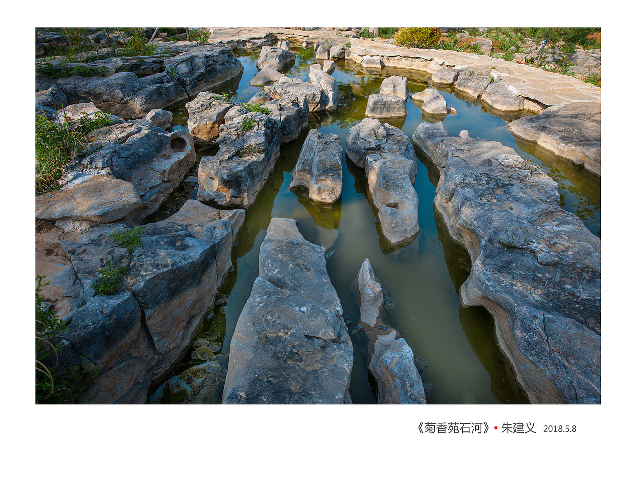 莱芜幸福童年朱建义老师摄影作品