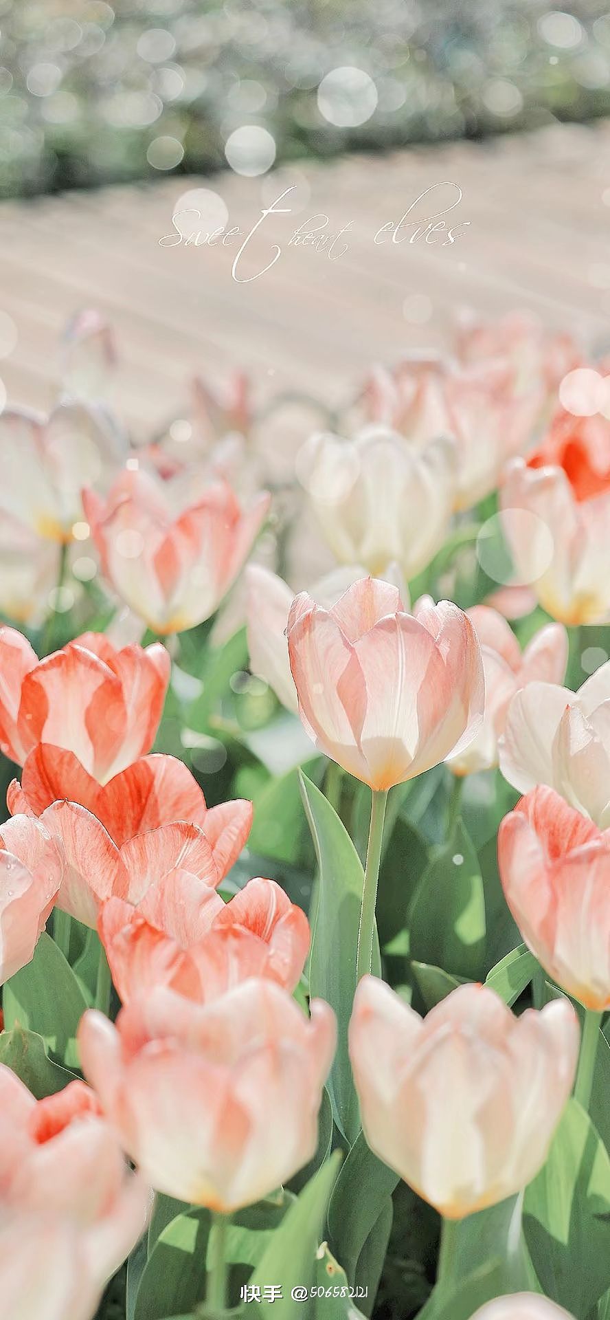 美丽的风景,最值得我们观赏!!