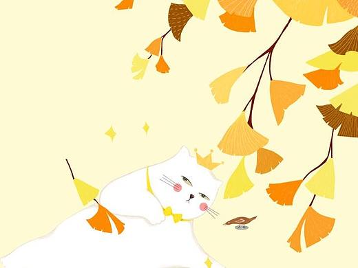 花田系列猫咪