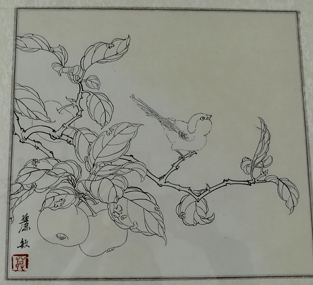 白描临摹作品《果熟来禽》