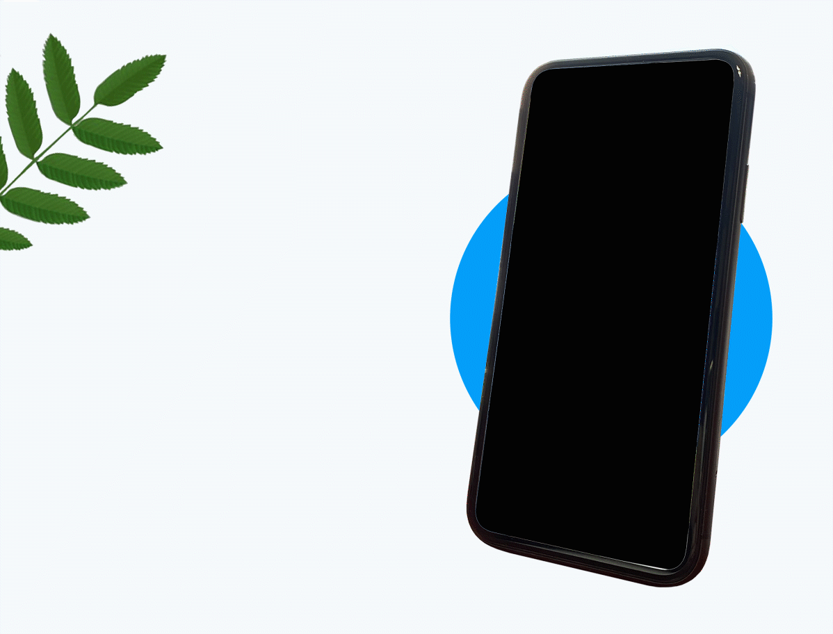 THEME DESIGN_THREE COLOR