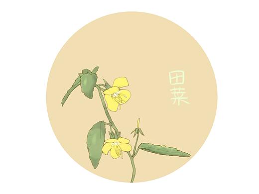 那些我们不知道的事儿