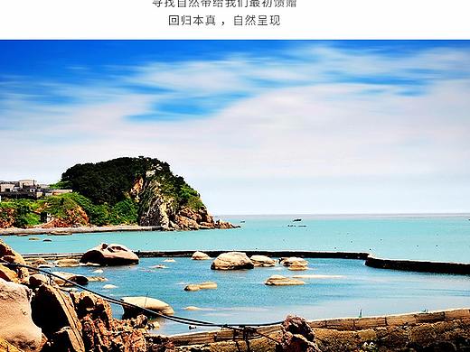 海参