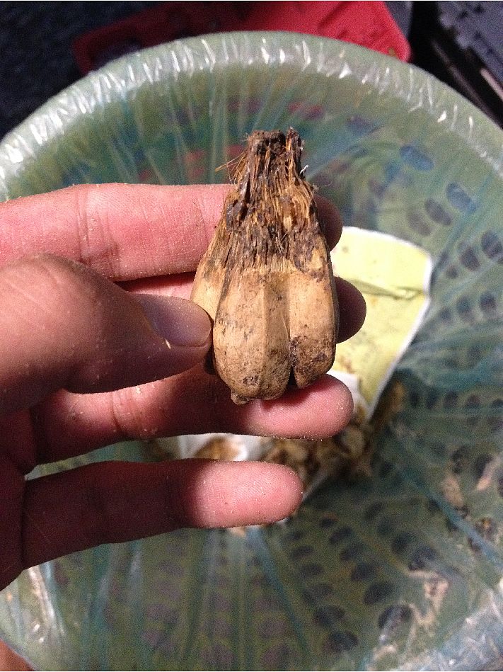 情侣款星月菩提(图ZMjA1NjQ2NjA=) - 首饰设计 - 站酷设计师不认识的木子先森原创素材 - 站酷ZCOOL