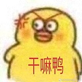 ZPanda6的头像