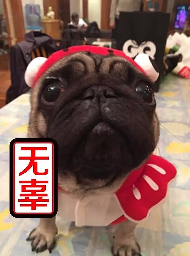 宝宝很无辜,45°是我仰望流泪的角度