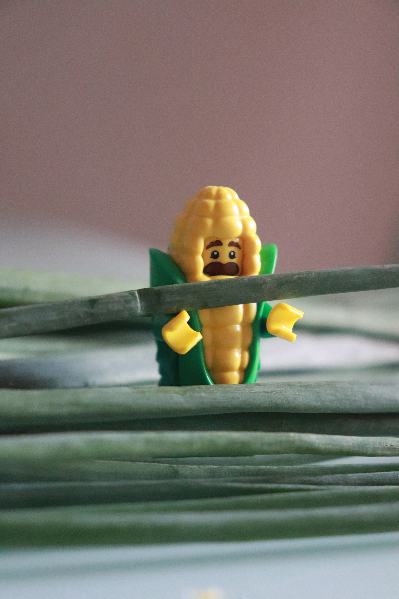 樂高之蔬菜大冒險（圖ZMTQxMDUwODk2） - 其他攝影 - 站酷設(shè)計師拍拍拍的旺仔醬原創(chuàng)素材 - 站酷ZCOOL