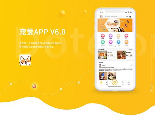 宠物app