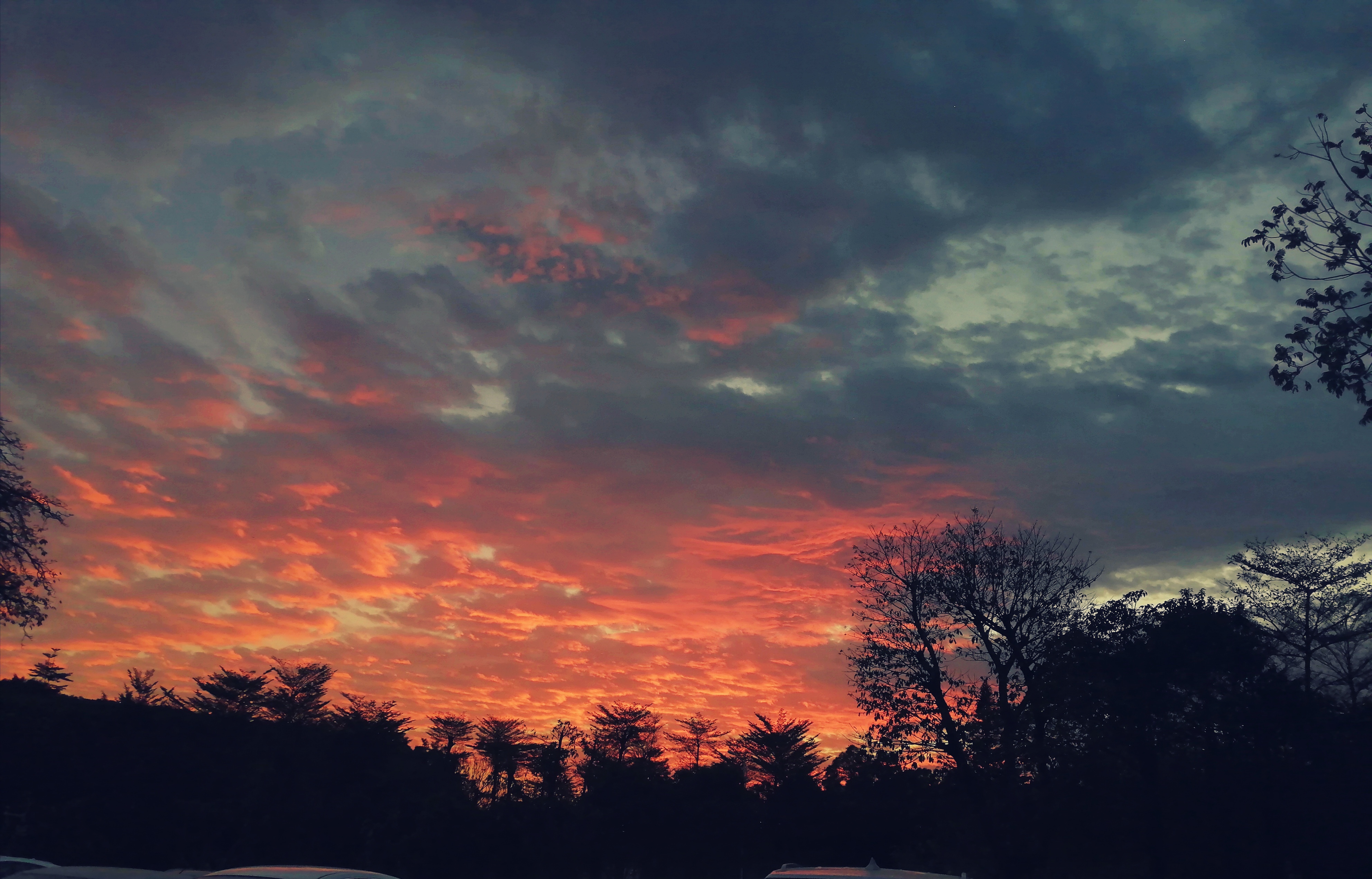 白羊澜的个人主页（封面预览） - 主页封面设置 - 站酷设计师白羊澜原创素材 - 站酷ZCOOL