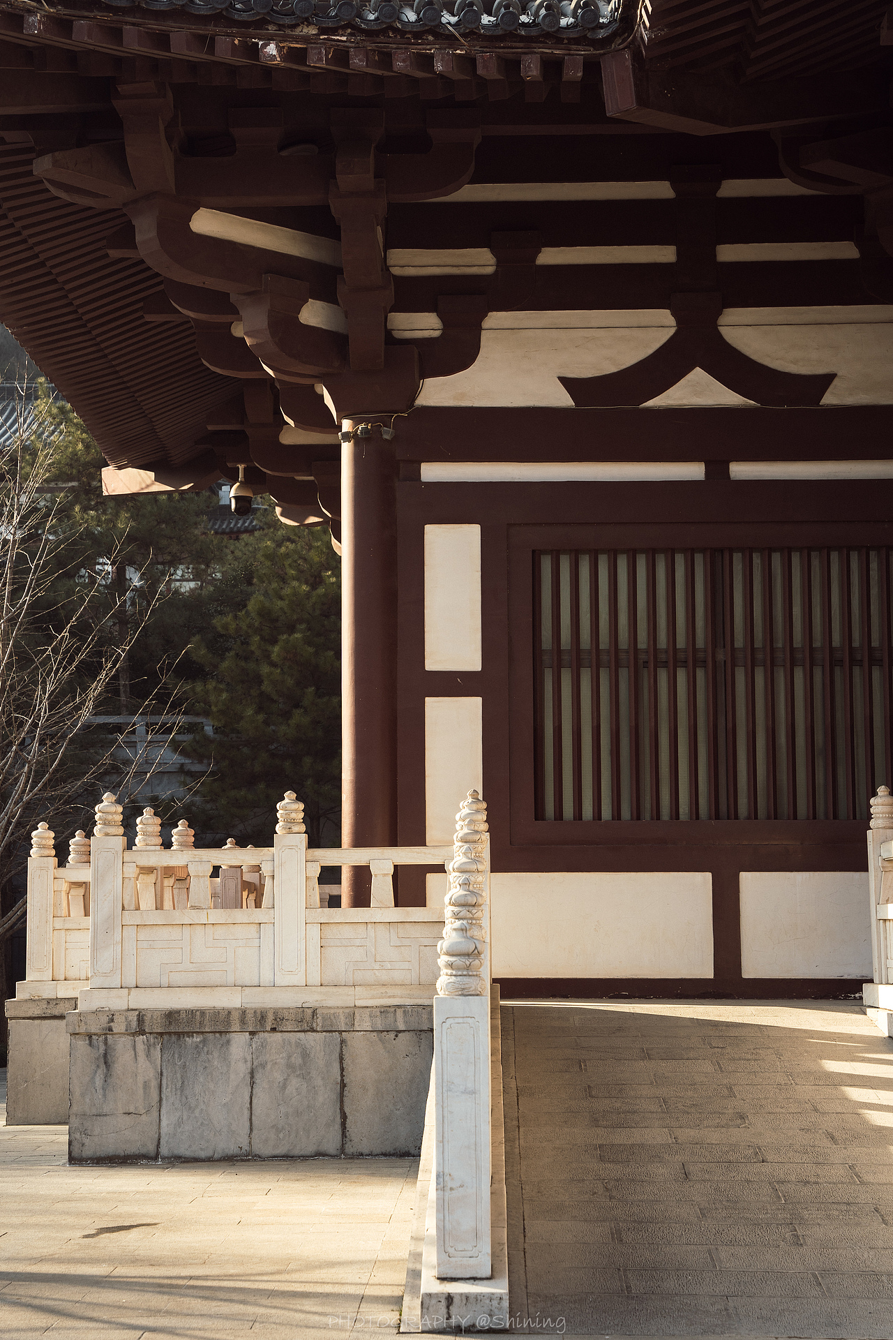 西安游记 华清宫