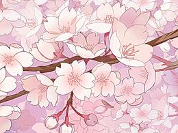 花类