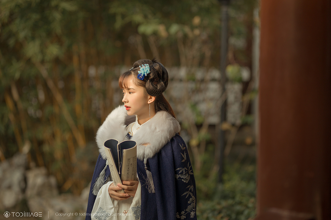 古风人像《阅秋图》