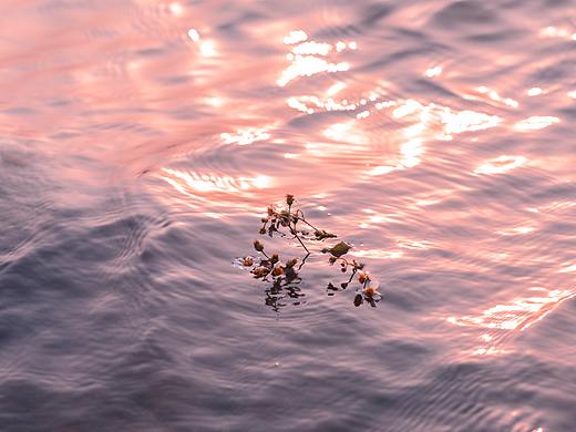 我在人間販賣夕陽(yáng)（個(gè)人主頁(yè)-ZNTIxNzA4OTY=） - 風(fēng)光攝影 - 站酷設(shè)計(jì)師拍照的嘎嘎鴨原創(chuàng)素材 - 站酷ZCOOL