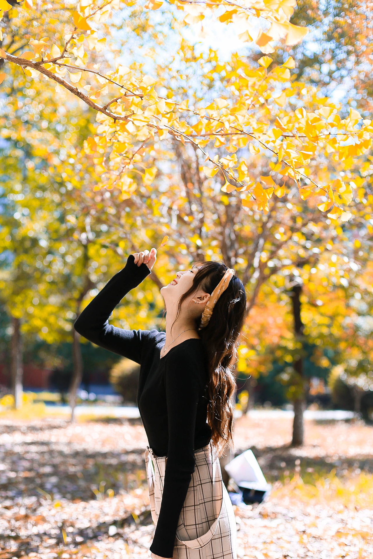 银杏|摄影|人像摄影|芥茉在拍照_原创作品-站酷zcool