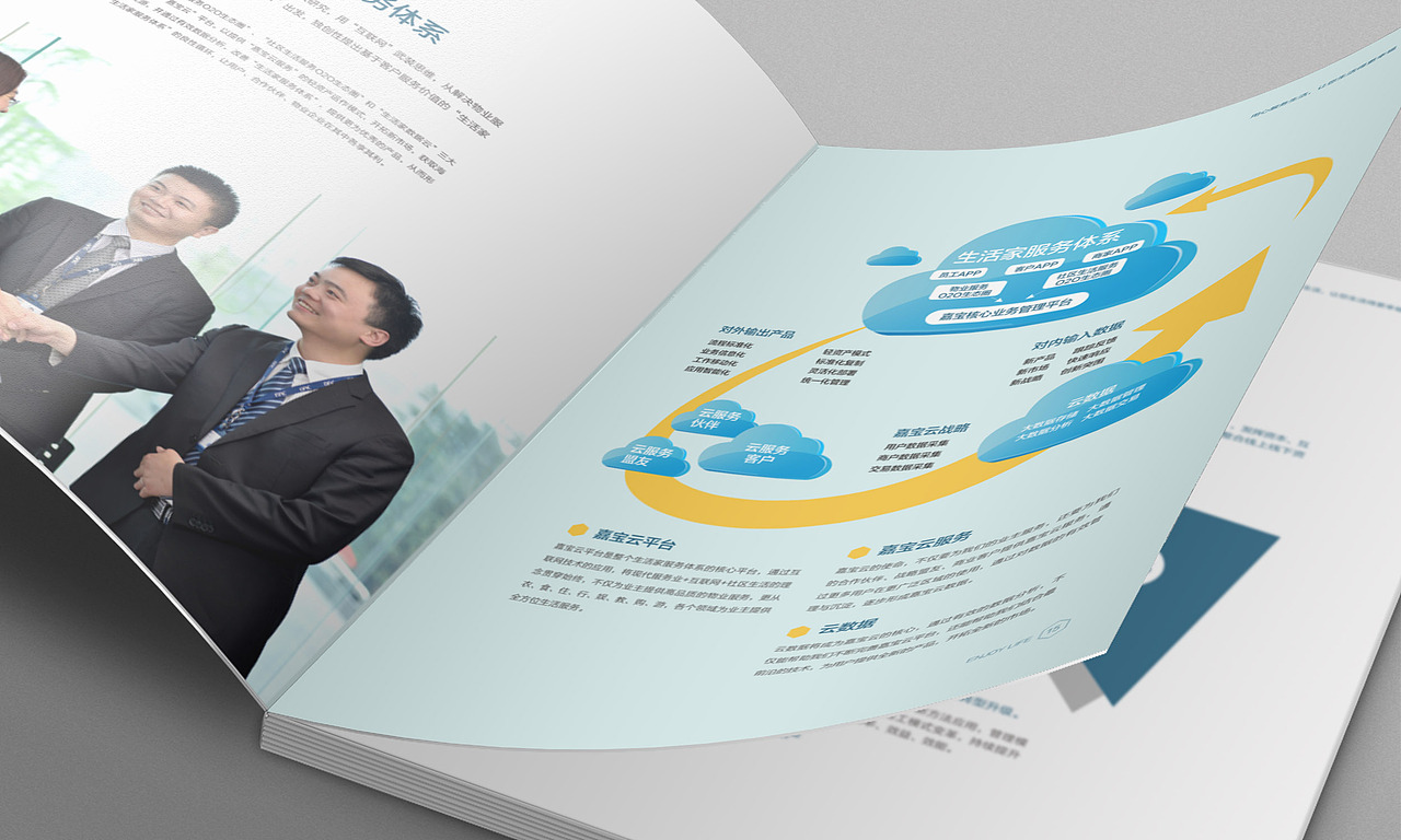 vi设计/画册设计/互联网形象设计及运营