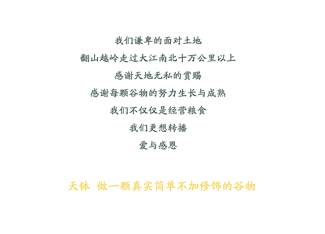 小钵IP形象设计（图ZMjc4MzE1MjUy） - IP形象 - 站酷设计师暴雨歆原创素材 - 站酷ZCOOL