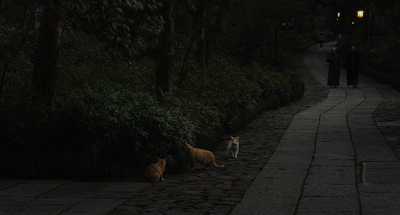 杭州永福寺、灵隐寺周边街拍（图ZMjkxMTI4MTc2） - 人文/纪实摄影 - 站酷设计师摄影师康超凡原创素材 - 站酷ZCOOL
