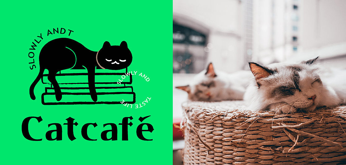 猫咖 cat cafe丨慢享时光 品味生活  咖啡品牌全案设计
