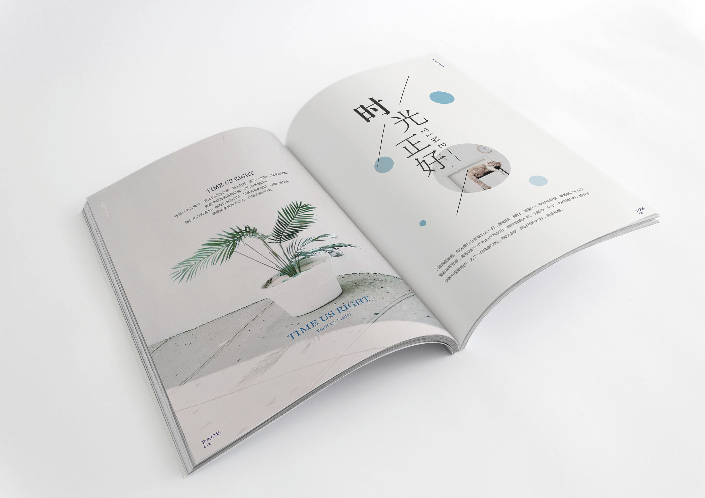 小清新平面设计