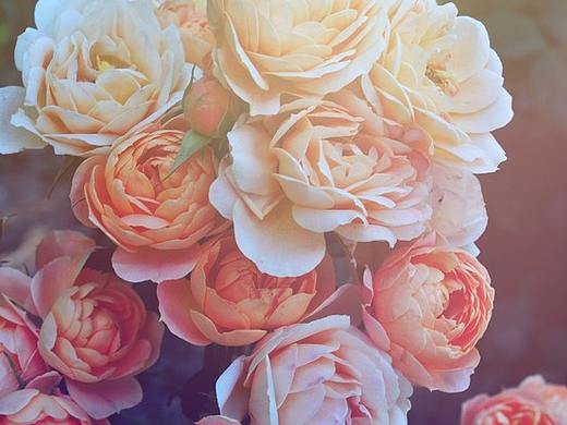 修图-产品（个人主页-ZMzgzNDkzNzY=） - 其他平面 - 站酷设计师我愿变成女巫原创素材 - 站酷ZCOOL