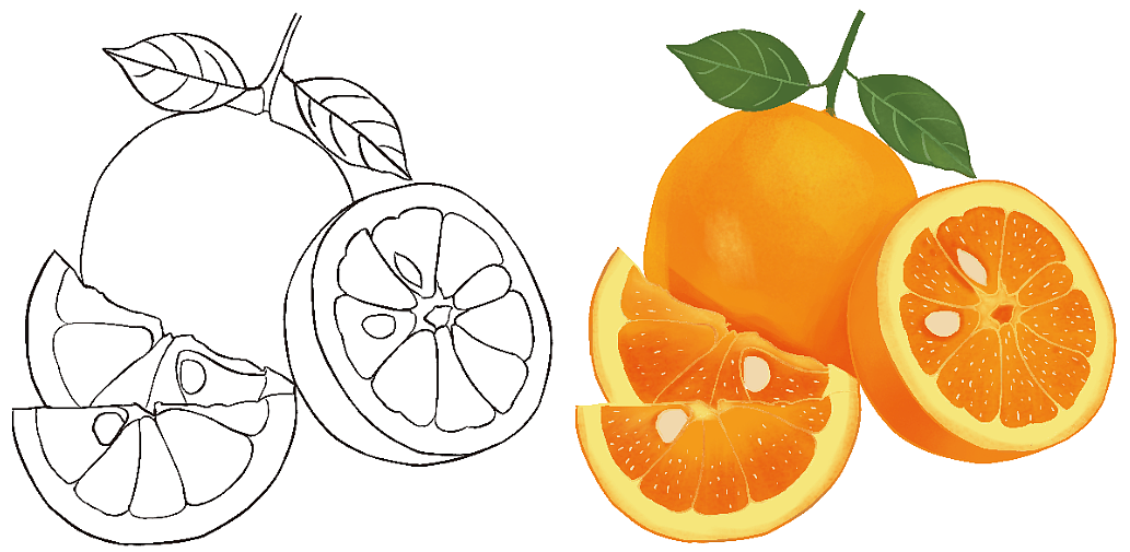 原创橙子线稿及手绘