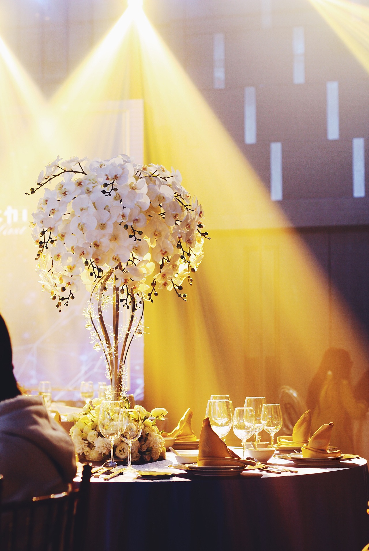 婚纱展（图ZNDQ3MDMxODQ=） - 人像摄影 - 站酷设计师易易易易易5原创素材 - 站酷ZCOOL