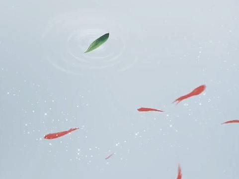 一些房地产短视频之一