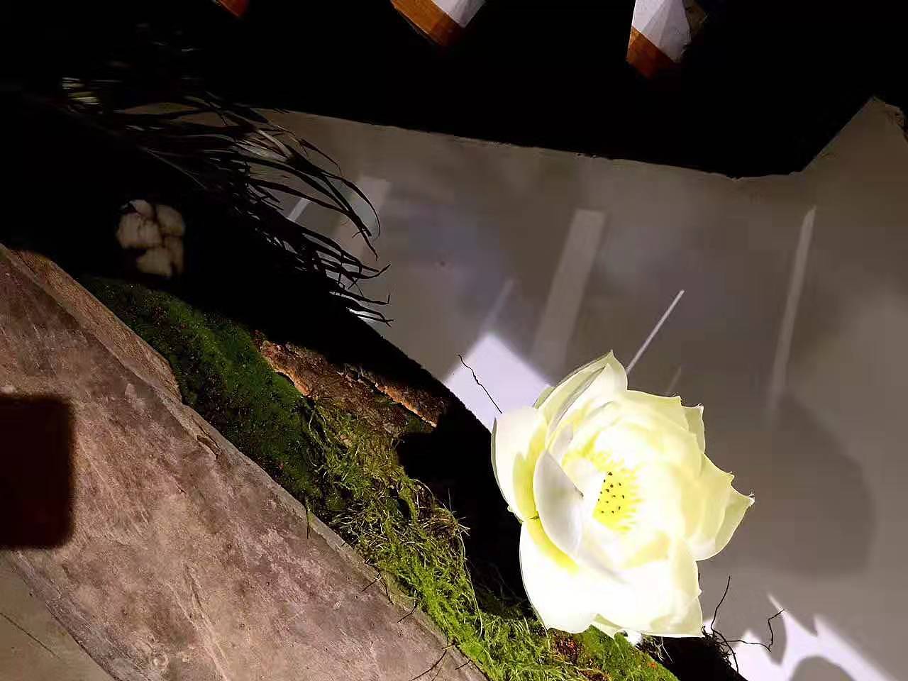 美生装饰 造景7