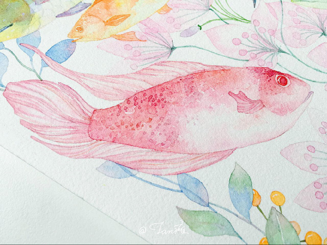关于龙鱼的手绘彩铅画|纯艺术|绘画|_lelia - 原创作品 - 站酷 (ZCOOL)