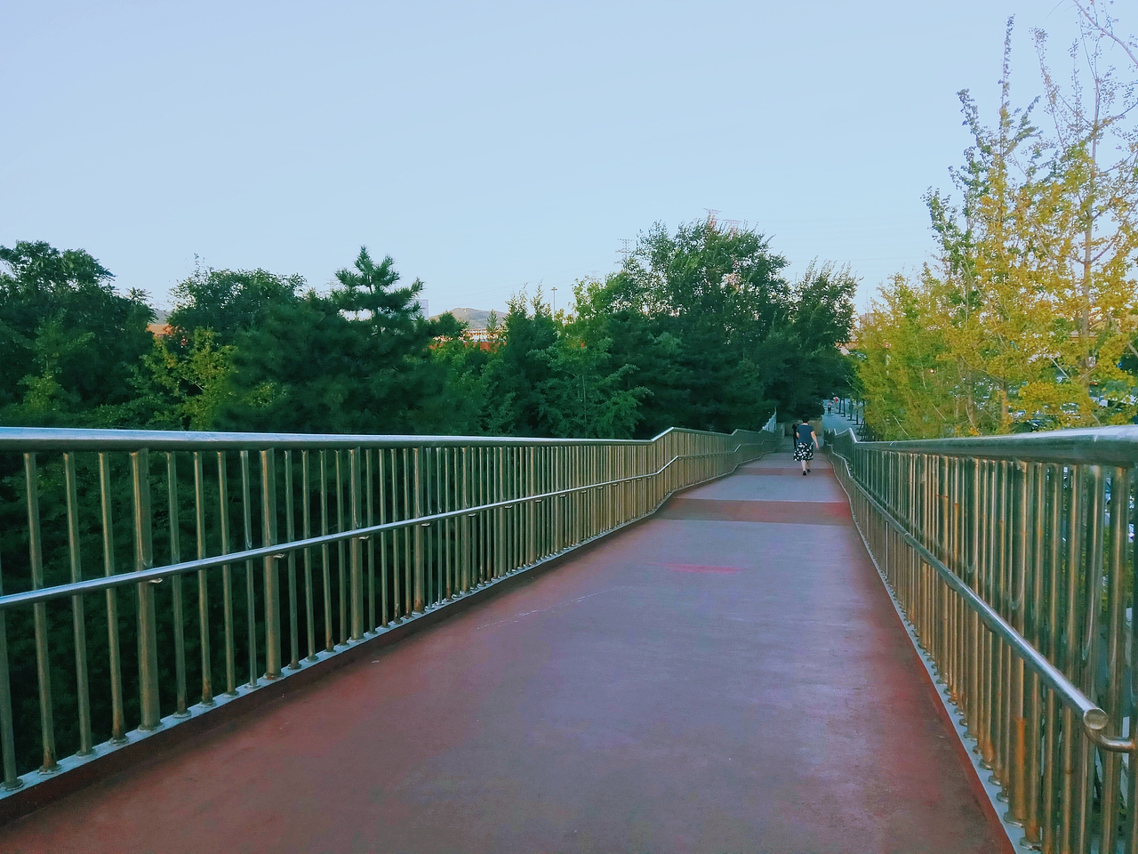 抓住夏天的尾巴