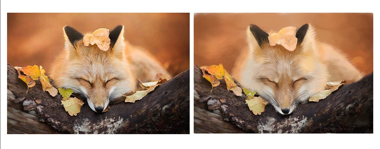 手绘超写实练习（图ZMTY2OTg0OTIw） - 创作习作 - 站酷设计师河狸先生Z原创素材 - 站酷ZCOOL