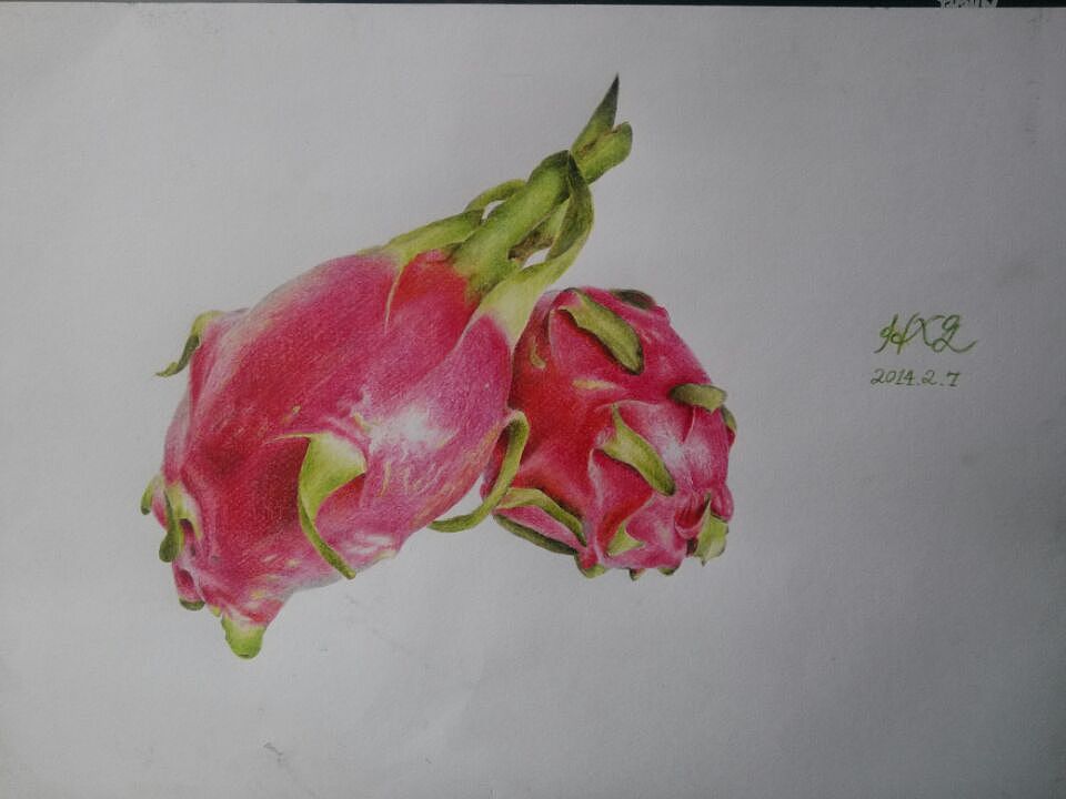 【Wallpainter手绘工场】红红火火的火龙果（图ZMTM4OTQ1NjQ=） - 绘画 - 站酷设计师墙角笔触原创素材 - 站酷ZCOOL