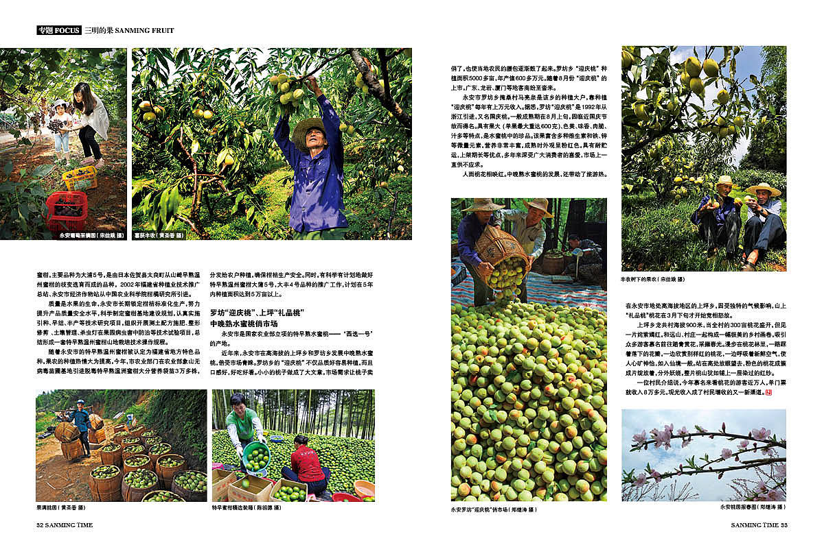 《时代三明》杂志2014年第6期三明的果-源艺设计（图ZNzgzMTIzODQ=） - 书籍/画册 - 站酷设计师郑源华原创素材 - 站酷ZCOOL