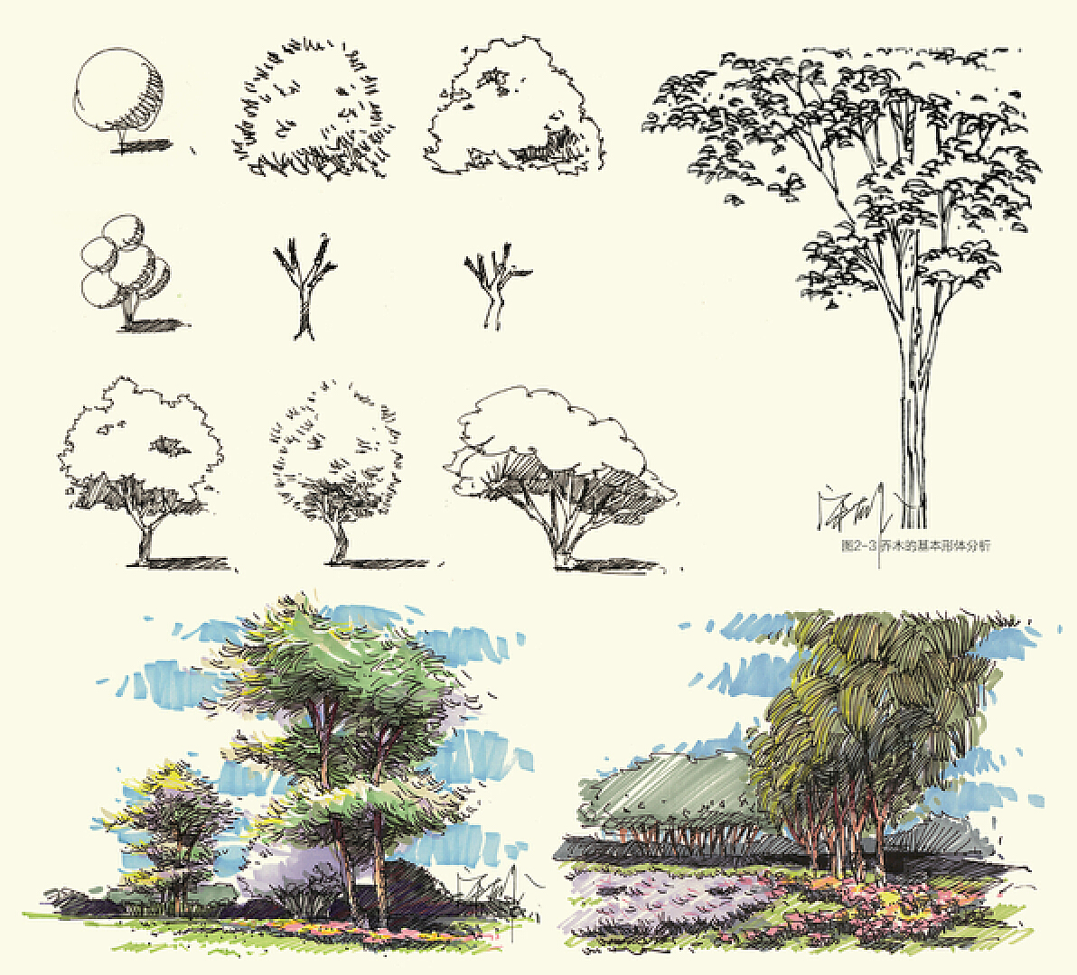 手绘树图片素材免费下载 - 觅知网