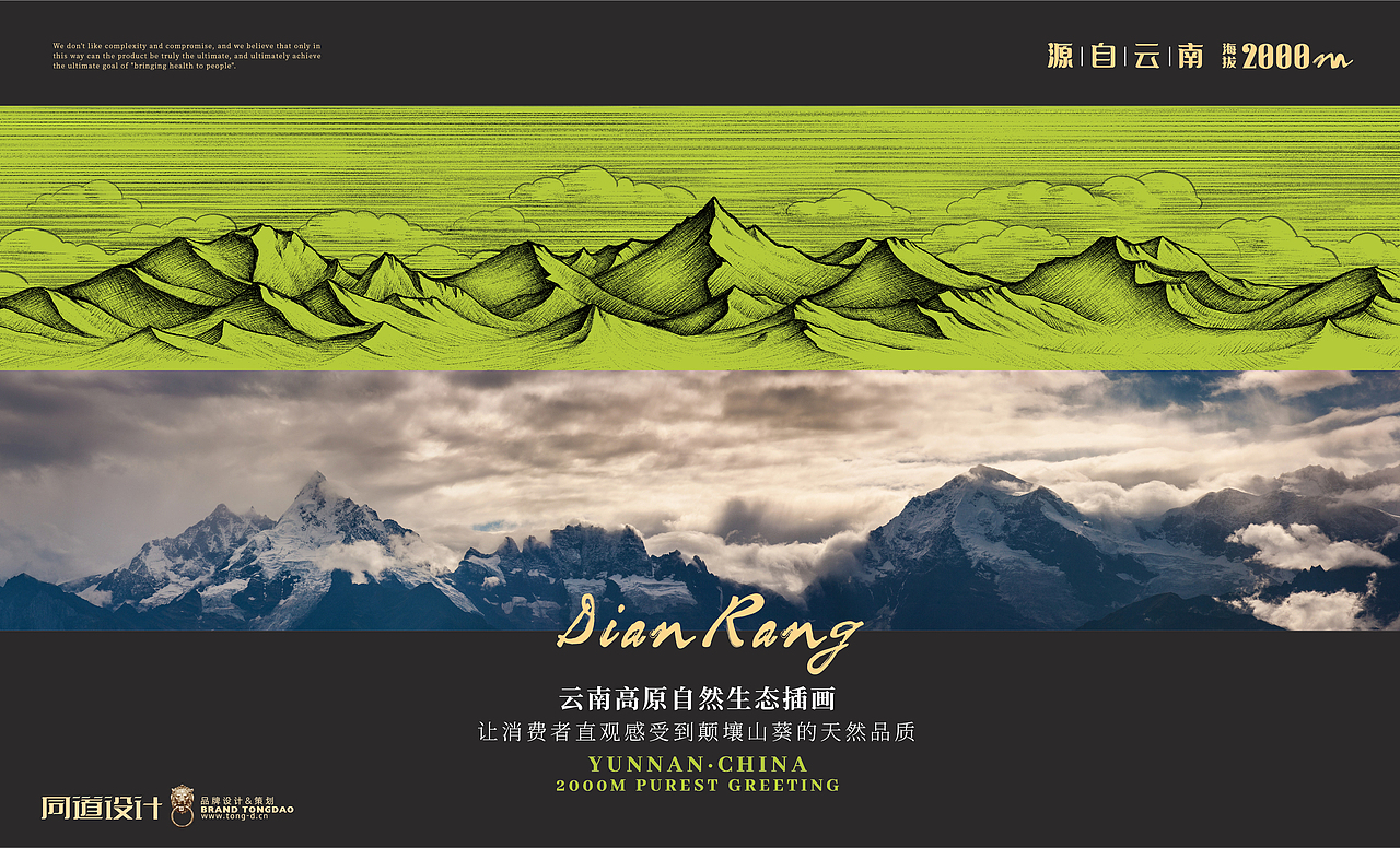 自然之道|巅壤·生鲜山葵泥品牌包装策划(图ZMjc4NjE2NDQ4) - 包装 - 站酷设计师同道设计SONG原创素材 - 站酷ZCOOL