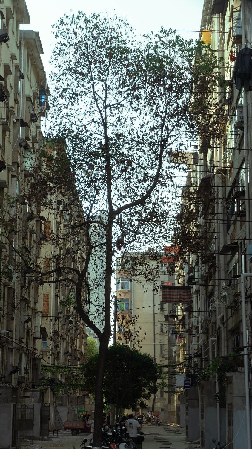 扫街分享（图ZMzU0Mjc1Njky） - 人文/纪实摄影 - 站酷设计师ysbdbzjzikalqk原创素材 - 站酷ZCOOL